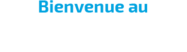 Logo Garage Guinet